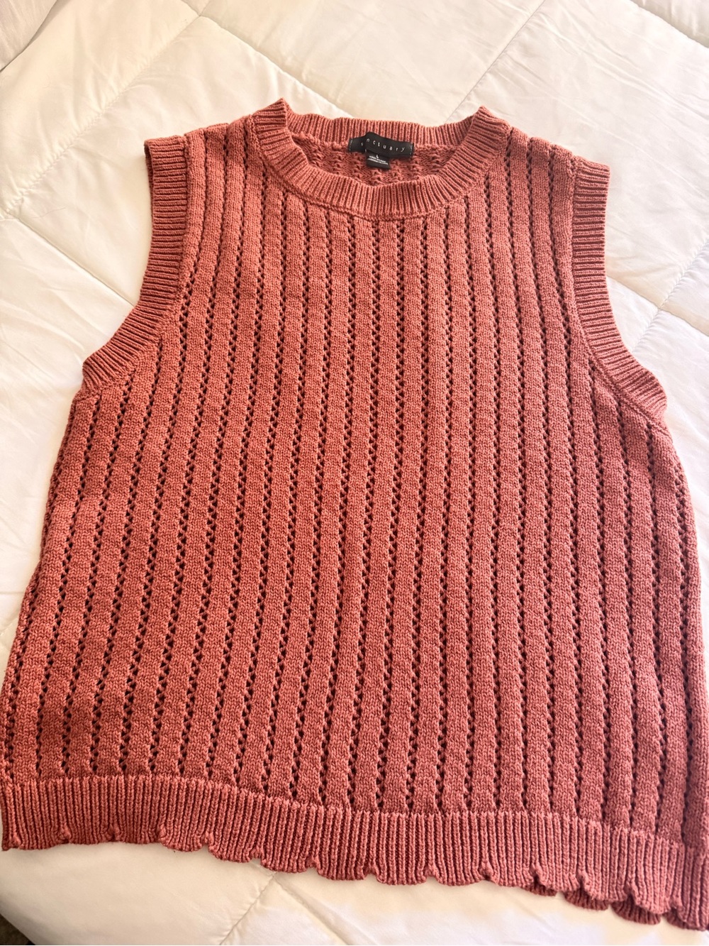 Sanctuary Rust Pointelle Scalloped Neck Knit Top - Picture 6 of 6